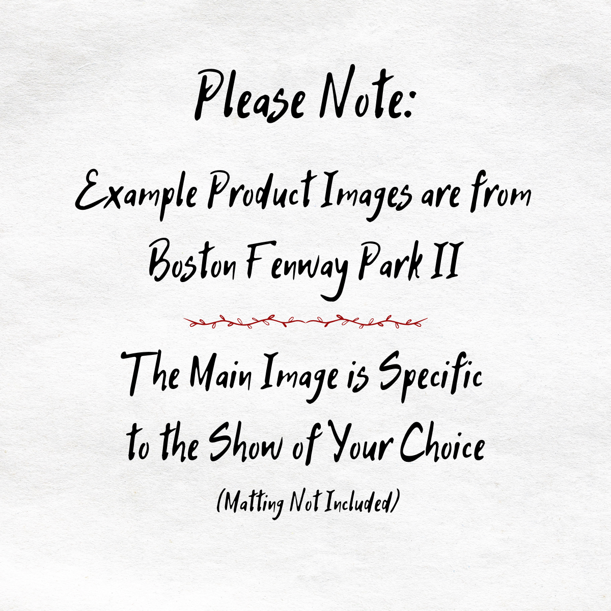 Text on a white background explaining product images from Boston Fenway Park II.